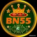 BN55 Game